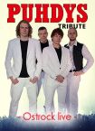 Wilder Frieden - Puhdys Tribute Band